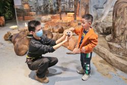 -Zoolung Zoolung动物主题公园(海信广场店)