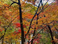 -本溪老边沟风景区