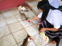 -ခြောက်ထပ်ကြီးရွှေသာလျောင်းဘုရားကြီး