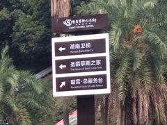 -圣爵菲斯大酒店(长沙世界之窗店)