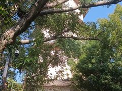 -江心屿景区