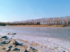 -大兴滨河森林公园