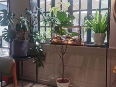 -一尺花园(安和花园店)