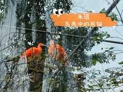 -成都动物园