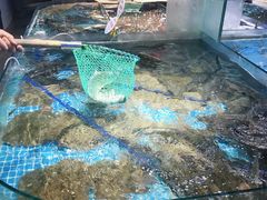 -日照灯塔风景区