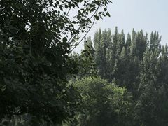 -林栖谷森林康养度假区