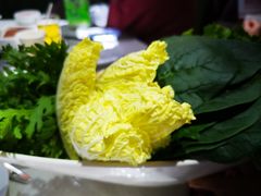 娃娃菜-海底捞火锅(顺义华联店)