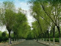 -哈尔滨师范大学(松北校区)