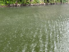 -黄椅山火山森林公园