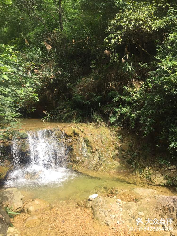 真佛山风景区图片