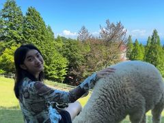 -神户市立六甲山牧场