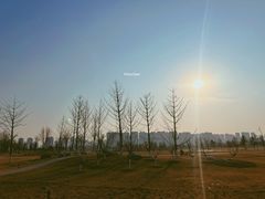 -汉长安城未央宫国家考古遗址公园