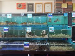 水产区-南海渔家•海鲜•正宗海南菜(海棠湾店)