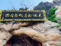 -大槐树寻根祭祖园
