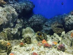 -福州罗源湾海洋世界旅游区