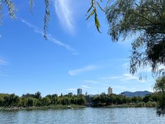 -济南大明湖景区