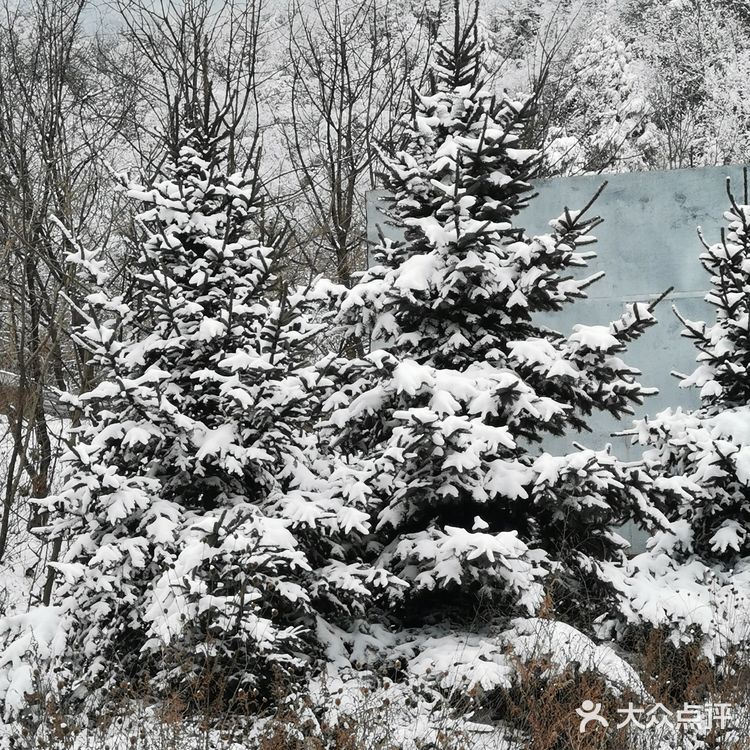 雾凇、白雪、冰挂这里都有