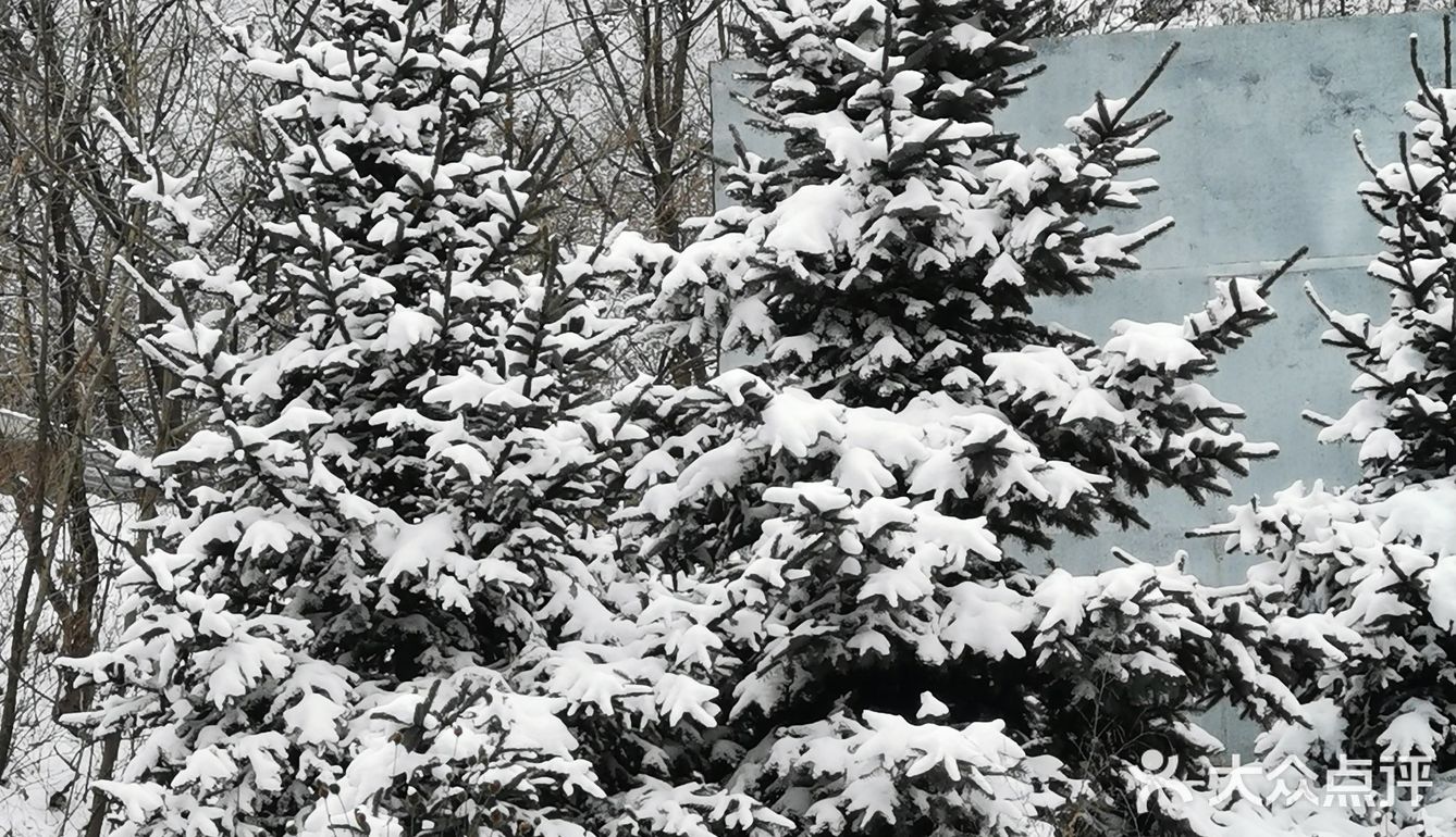 雾凇、白雪、冰挂这里都有