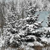 雾凇、白雪、冰挂这里都有