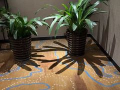 -蓬客精品酒店(南山海岸城购物中心店)