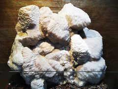 -贵州省地质博物馆