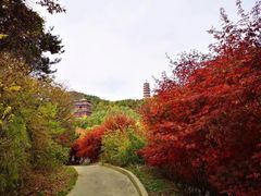 -石岛赤山风景区
