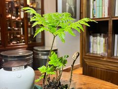 -一慈茶馆(雨田馆)