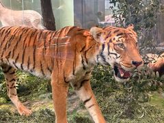 -国家自然博物馆