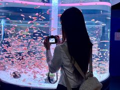 -海合安成都极地海洋公园