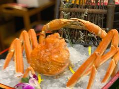 -牛New寿喜烧(青浦店)
