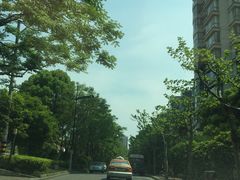 -新湖明珠城