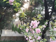 -叶家花园