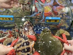 -明记海鲜大排档(巽寮湾店)