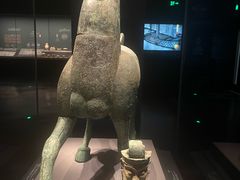 -广西壮族自治区博物馆