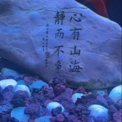 -极客侠男士假发定制补发