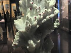 -安徽省地质博物馆