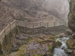-西安祥峪森林公园