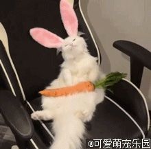 -福娣·金沙银贝海鲜火锅
