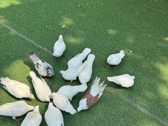 -成都欢乐谷