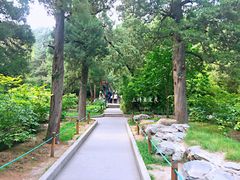 景点-景山公园