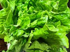 -额尔敦草原涮羊肉·烧烤(冻青树总店)