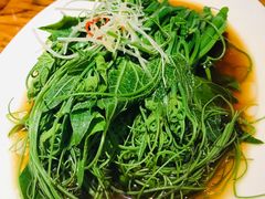 丝瓜尖-苹果树下艺术餐厅(宋庄店)