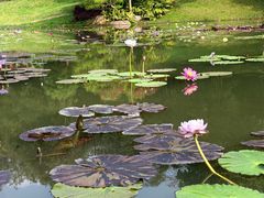 -云溪植物园