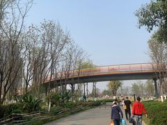 -府河摄影公园