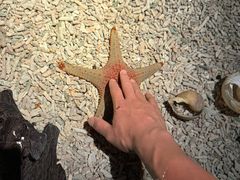 -浙江自然博物院(杭州馆)