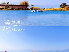-月亮湾湿地公园