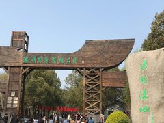 -溱湖国家湿地公园