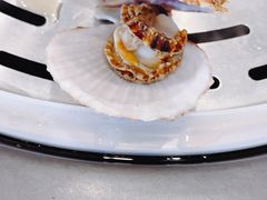 -四海蒸鲜蒸汽海鲜自助(北戴河店)
