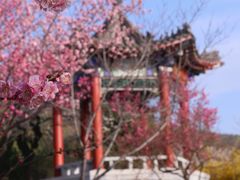 -北京西山国家森林公园