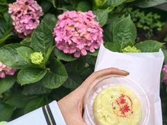 -嘉华鲜花饼(四方街旗舰店)
